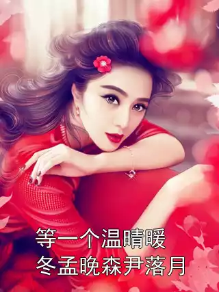 等一个温晴暖冬孟晚森尹落月