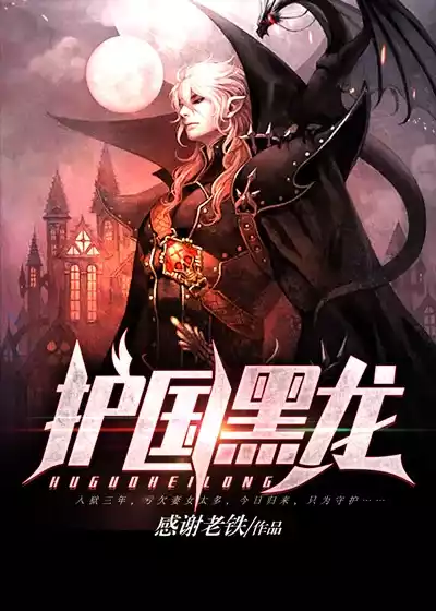 护国黑龙小说