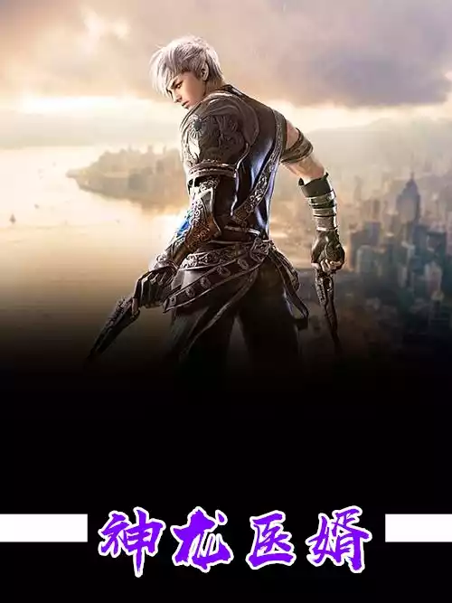 神龙医婿叶辰小说