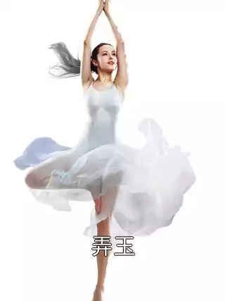 弄玉小说