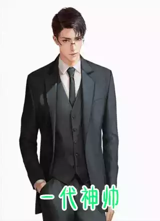 一代神帅小说