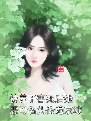 被养子害死后她恶母名头传遍京城