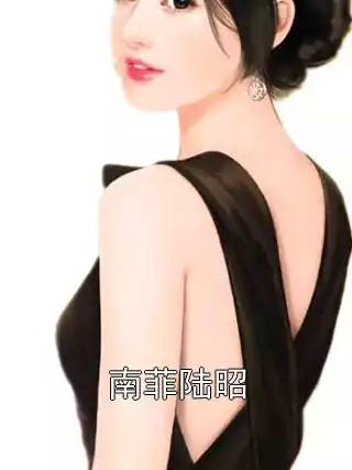 南菲陆昭小说