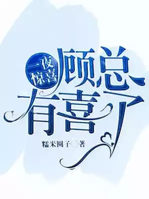 一夜惊喜顾总有喜了小说