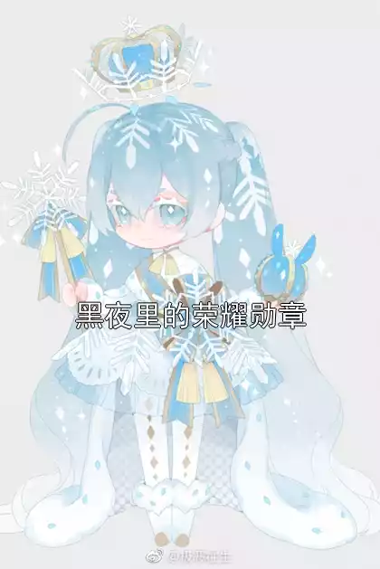 黑夜里的荣耀勋章