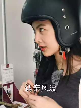 认亲风波小说