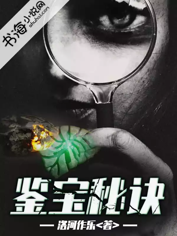 鉴宝秘诀小说
