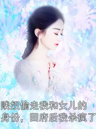 贱奴偷走我和女儿的身份，回府后我杀疯了小说
