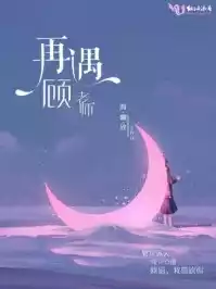 再遇顾老师小说