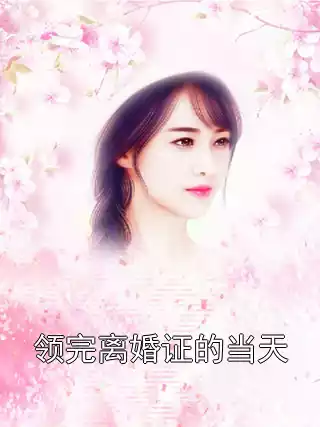 领完离婚证的当天小说