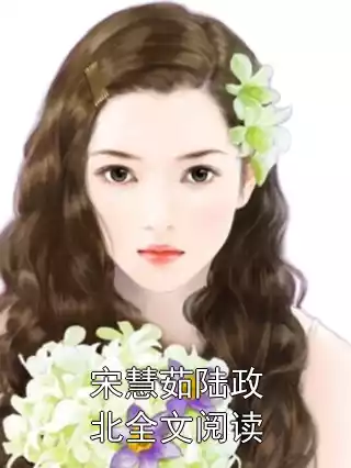 宋慧茹陆政北全文阅读小说