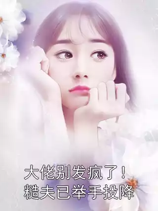 大佬别发疯了！糙夫已举手投降小说