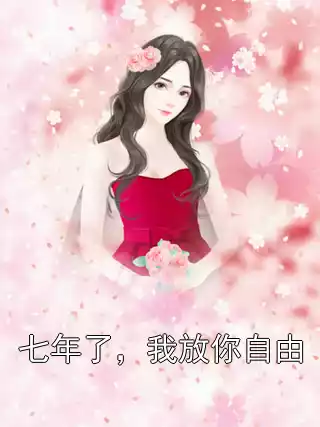 七年了，我放你自由小说