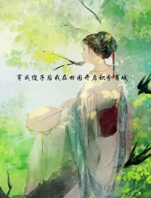 穿成傻子后我在田园开启积分商城小说