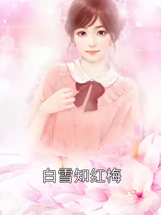 白雪知红梅小说