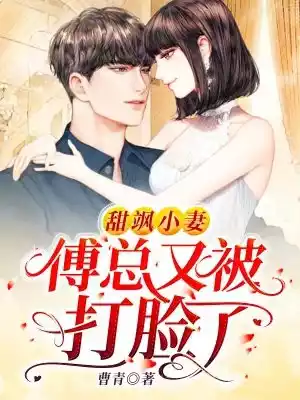 甜飒小妻傅总又被打脸了小说