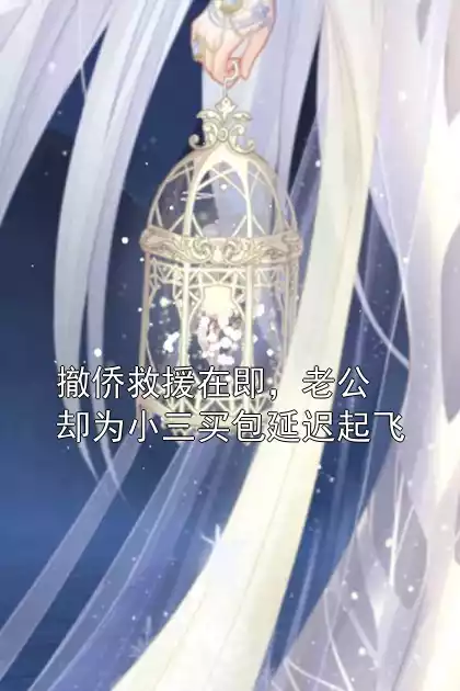 撤侨救援在即，老公却为小三买包延迟起飞小说