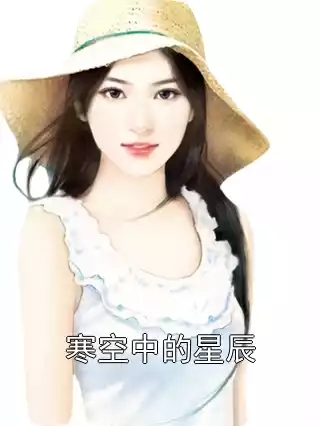 寒空中的星辰小说
