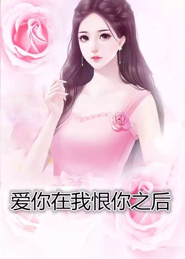 爱你在我恨你之后小说