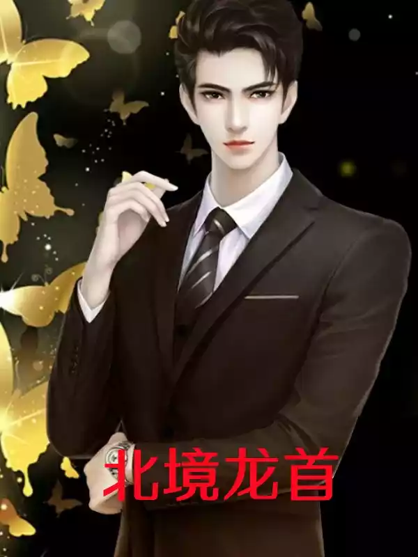 北境龙首小说