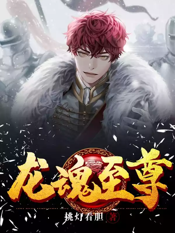 龙魂至尊小说