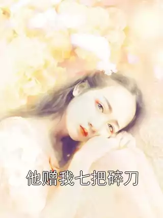 他赠我七把碎刀小说