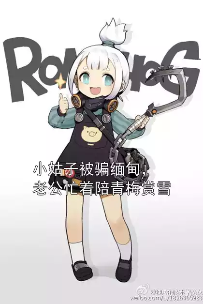 小姑子被骗缅甸，老公忙着陪青梅赏雪小说