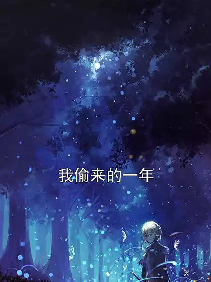 我偷来的一年小说