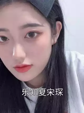 乐知夏宋琛小说