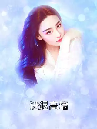 进退高墙小说