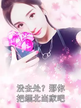 没去处？那你把缅北当家吧小说