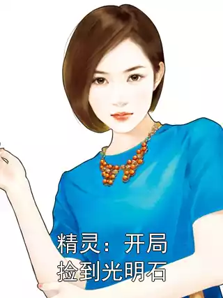 精灵：开局捡到光明石小说