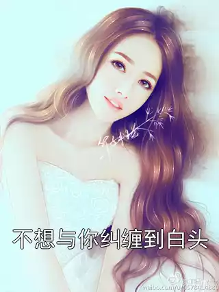 不想与你纠缠到白头小说
