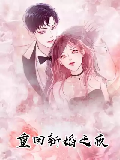 重回新婚之夜小说