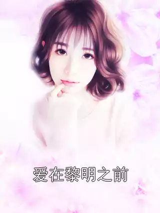 爱在黎明之前小说