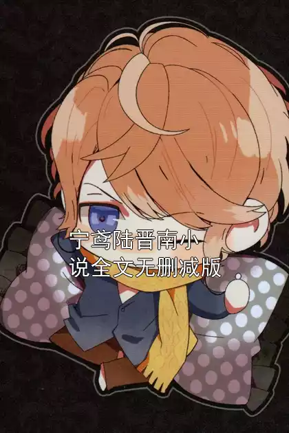 宁鸢陆晋南小说全文无删减版