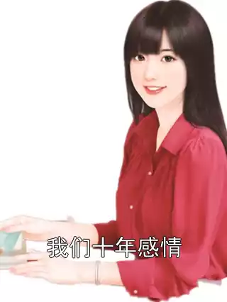 我们十年感情小说