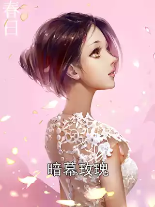 暗幕玫瑰小说