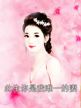 此生你是我唯一的妻小说
