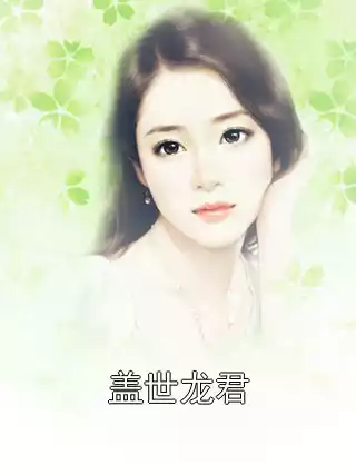 盖世龙君小说