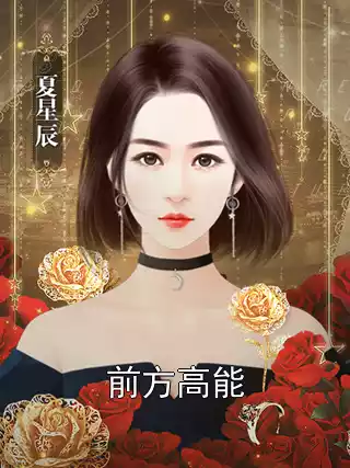 前方高能小说