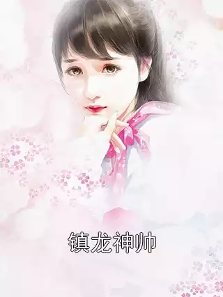 镇龙神帅小说