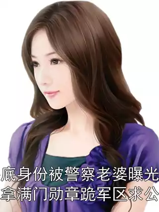 卧底身份被警察老婆曝光，我拿满门勋章跪军区求公道小说