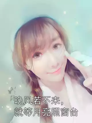 晚风若不来，就等月亮照窗台小说