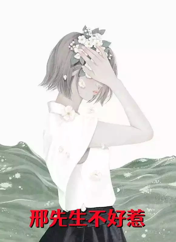 邢先生不好惹