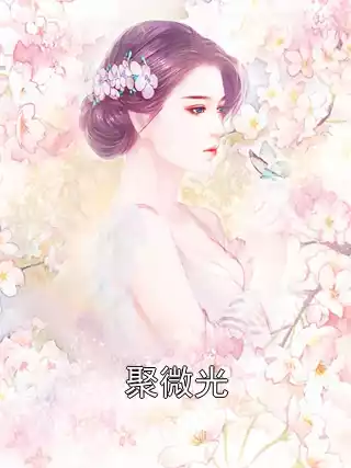 聚微光小说