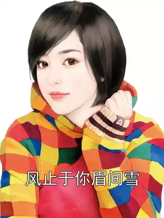 风止于你眉间雪小说