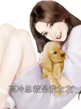 高冷总裁是我女友小说
