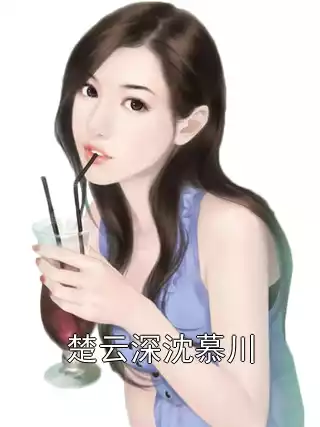 楚云深沈慕川小说
