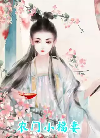 农门小福妻小说